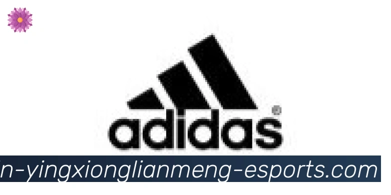 英雄联盟比分合作伙伴